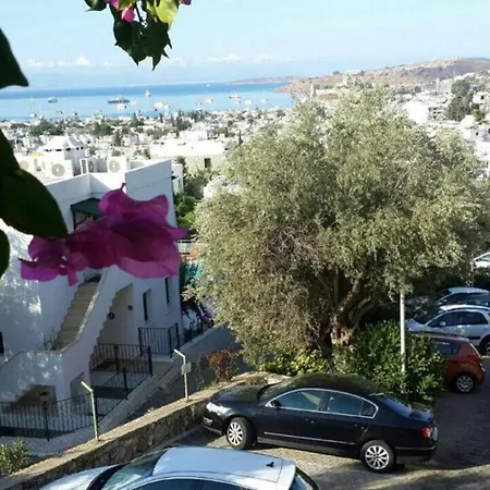Centre With Sea View And Large Terrace Appartement